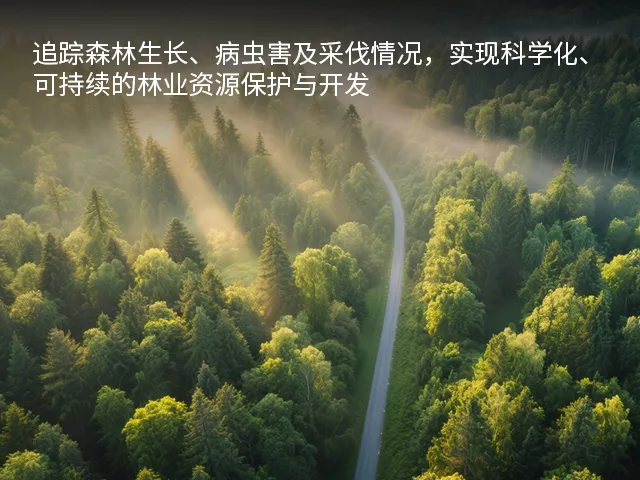行业 0004 组 2